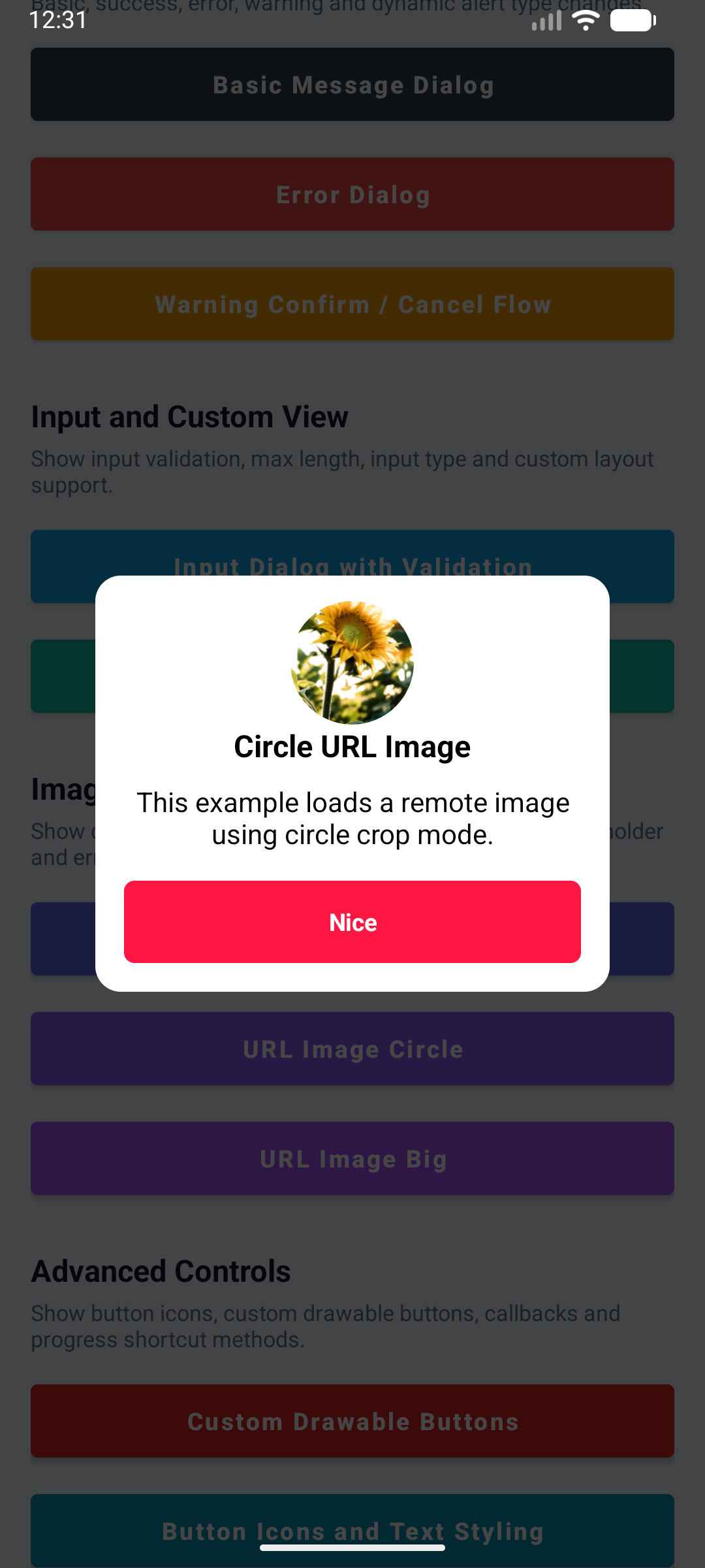 KAlert Dialog URL Image Circle Dialog