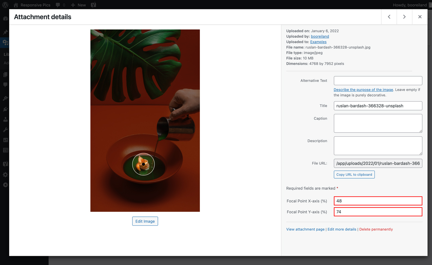 Attachment Details Two Columns Focal Point Picker Attachment Details Focal Point Picker