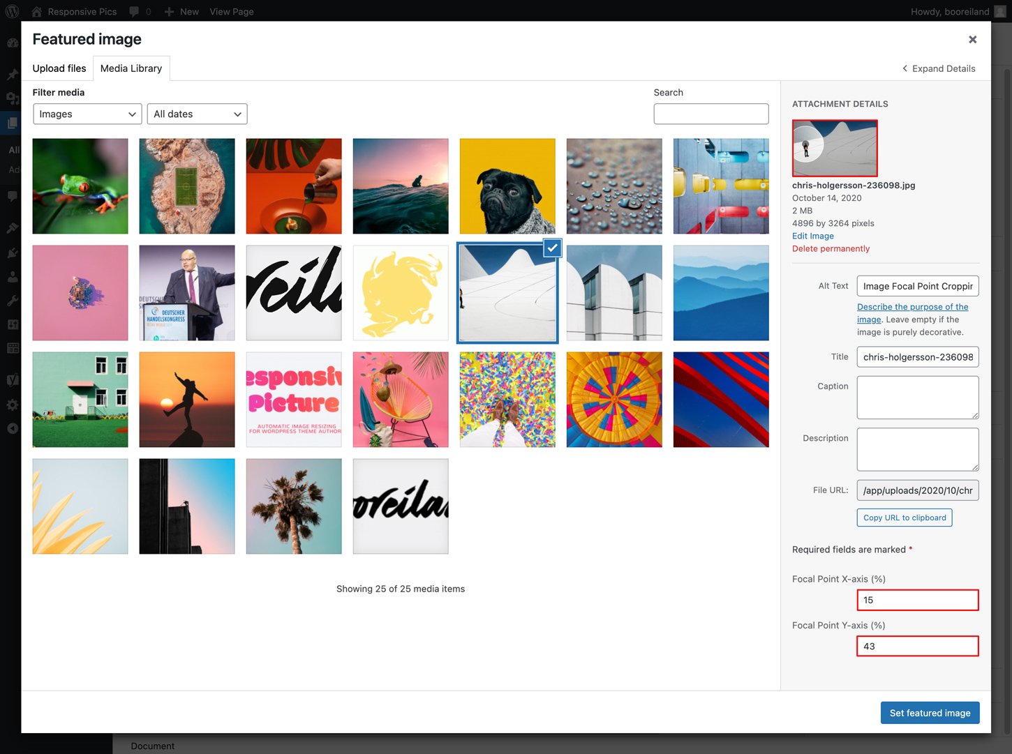 Featured Image Focal Point Picker Featured Image Focal Point Picker