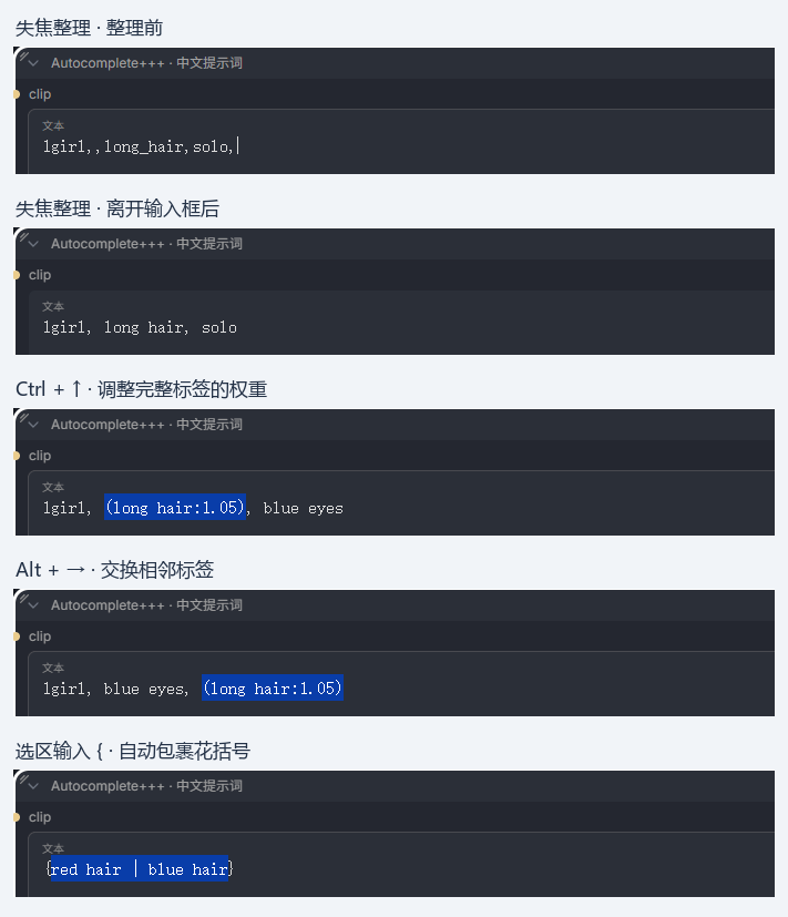 实际输入框中的格式整理前后、权重调整、标签换位和花括号包裹