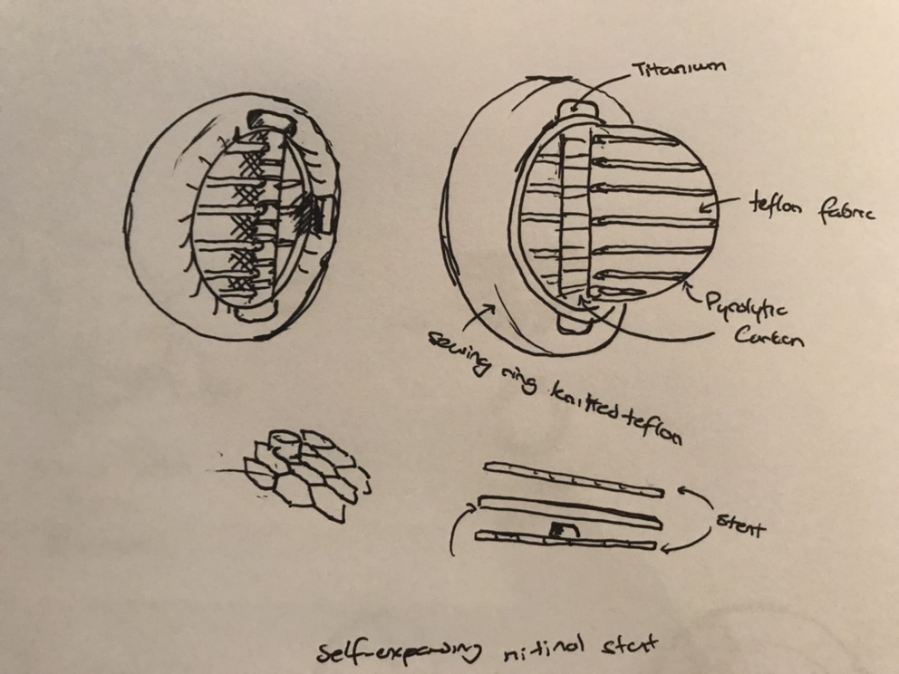  Picture of Heart Valve 0 