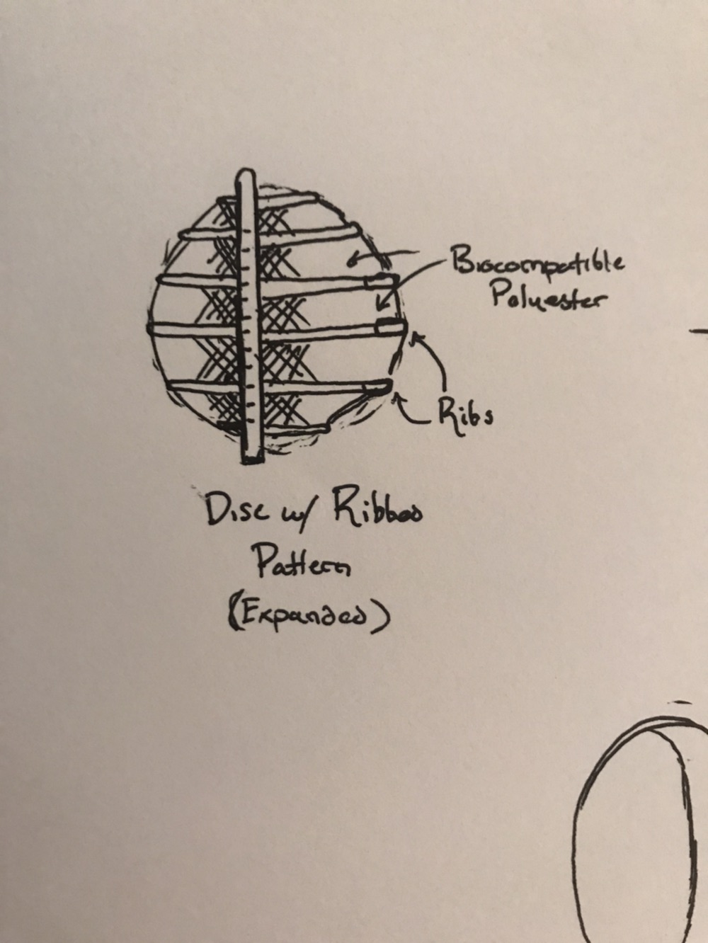  Picture of Heart Valve 2 