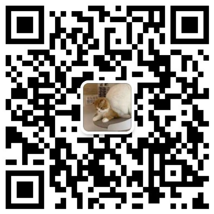 ./qbot/asserts/statics/imgs/wechat.png