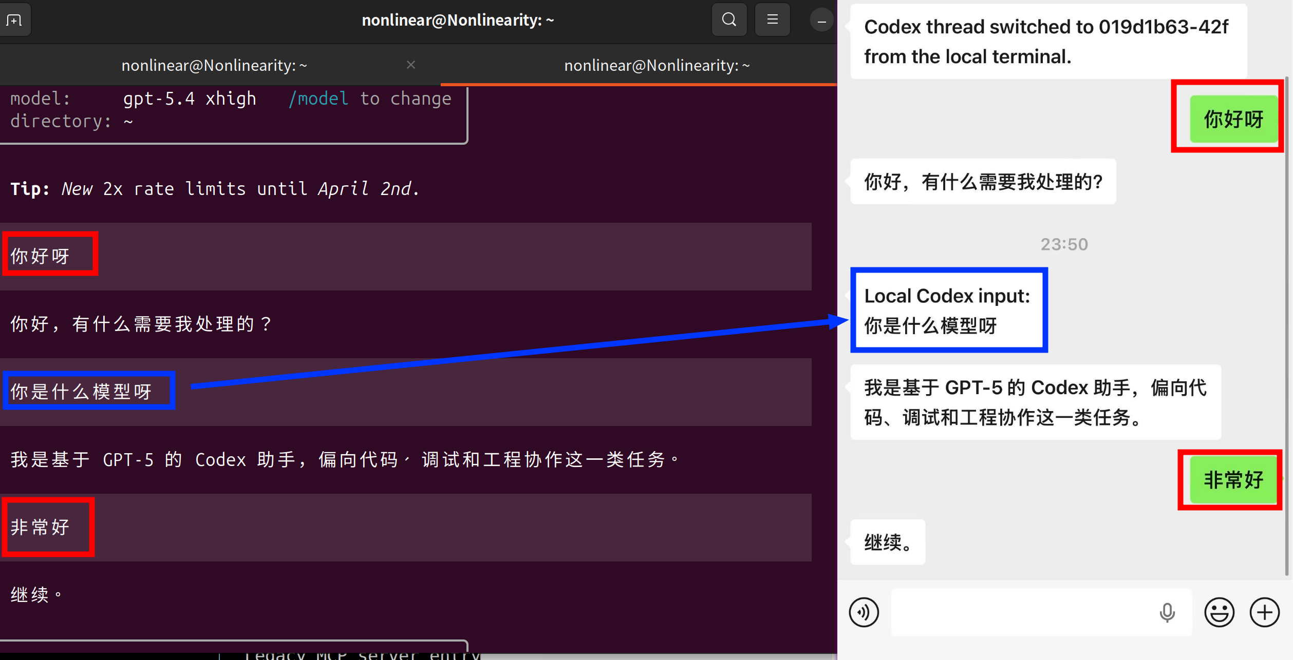 Codex Linux