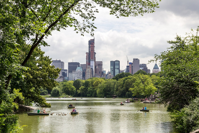 Trees around the Lake in Central Park with the Midtown Manhattan skyline behind
