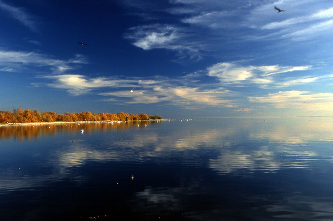 Still water and clouds reflected on the Salton Sea