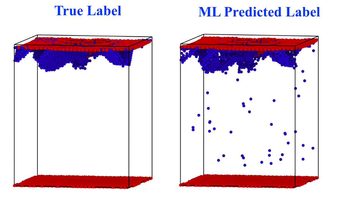 Predicted and True Labels