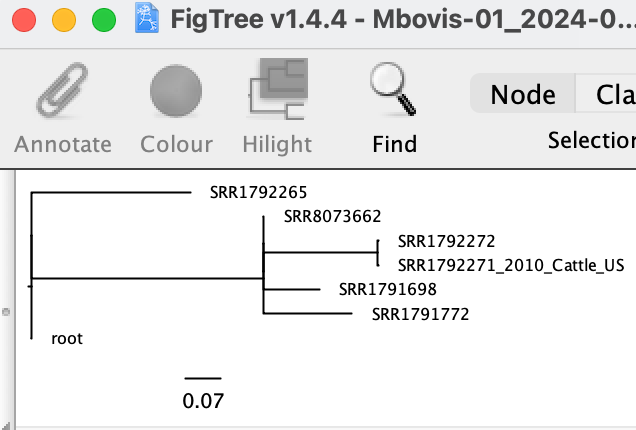 Step 2 tree