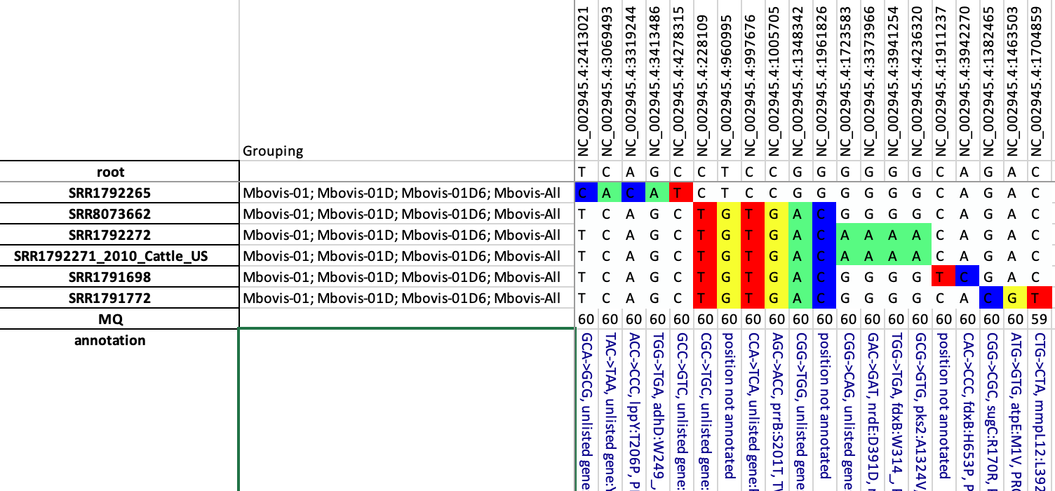 Step 2 corresponding SNP matrix