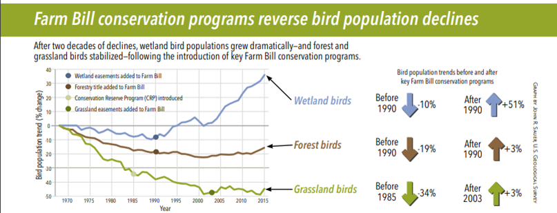 Bird population trends nationally by ecosystem from the 2018 State of the Birds, before and after the introduction of key Farm Bill conservation programs. Broadly, wetland birds are increasing with a 51% increase after 1990, forest birds are basically stable with a 3% increase after 1990, and grassland birds have recently improved after a precipitious decline with a 3% increase since 2003 following a 34% decrease before 1985.