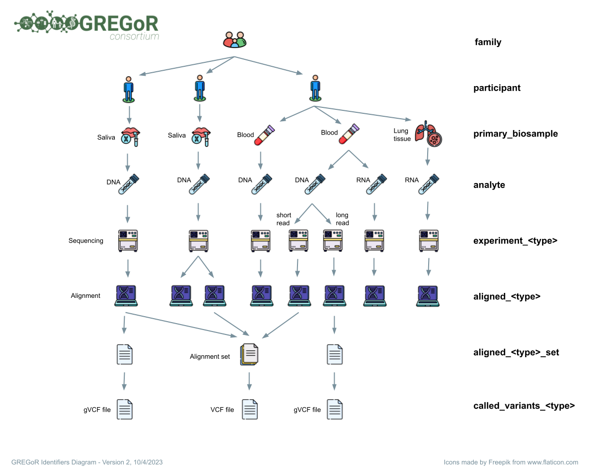 GREGoR identifiers diagram