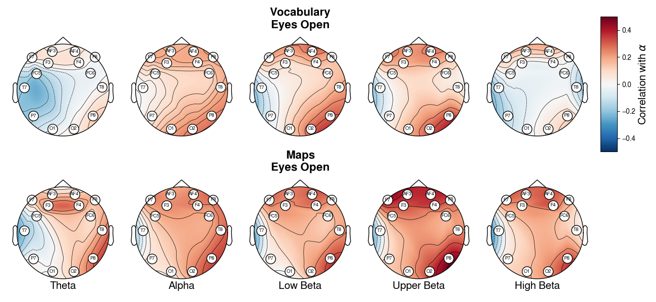 Topological map of the correlations with rate of forgetting