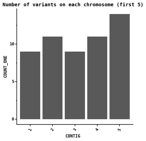 Number of variants on each chromosome (first 5)