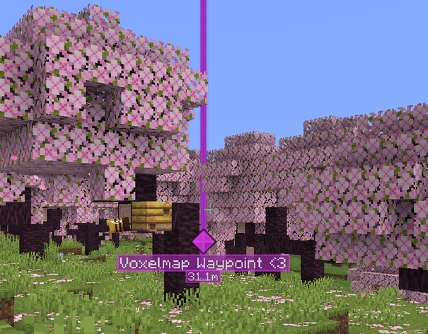 Waypoint in the world