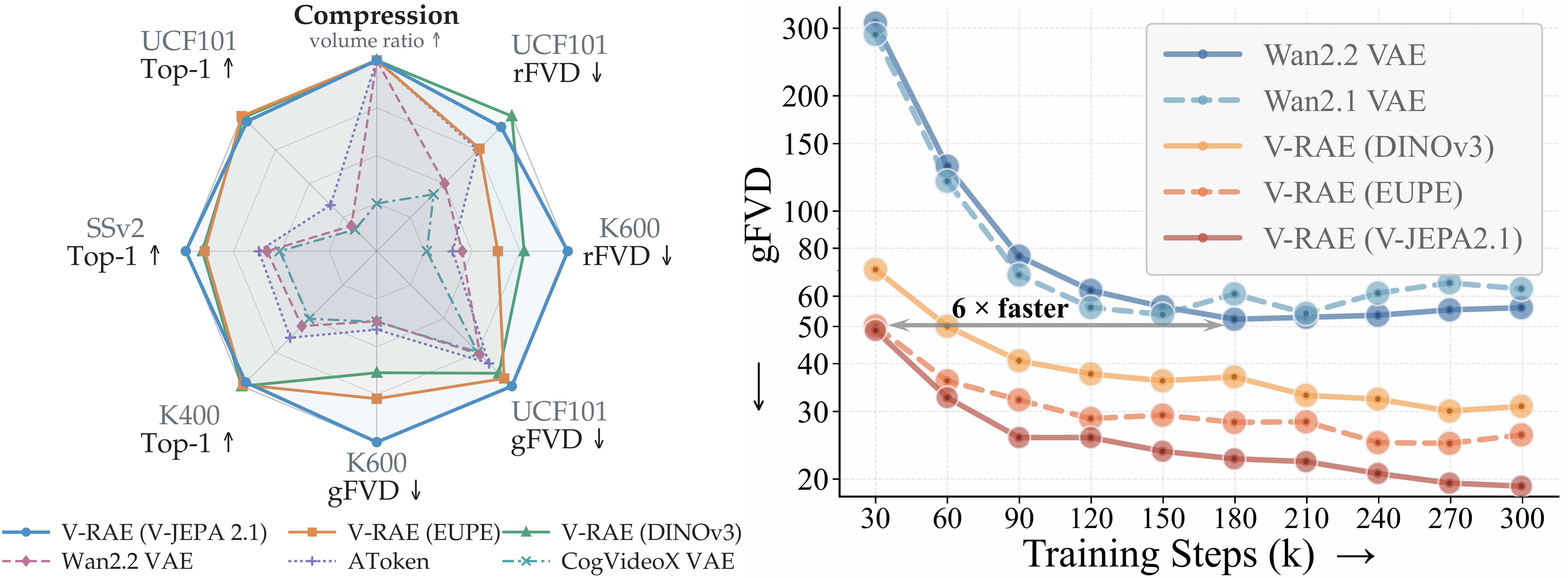 V-RAE overview