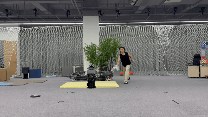 The quadrotor dodges a thrown plush toy