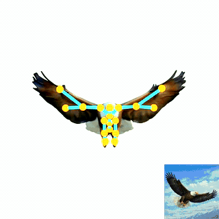 assets/gifs/eagle.gif