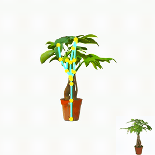 assets/gifs/money_tree.gif