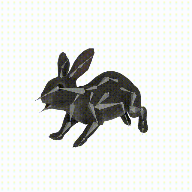 rabbit