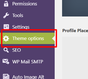 theme options