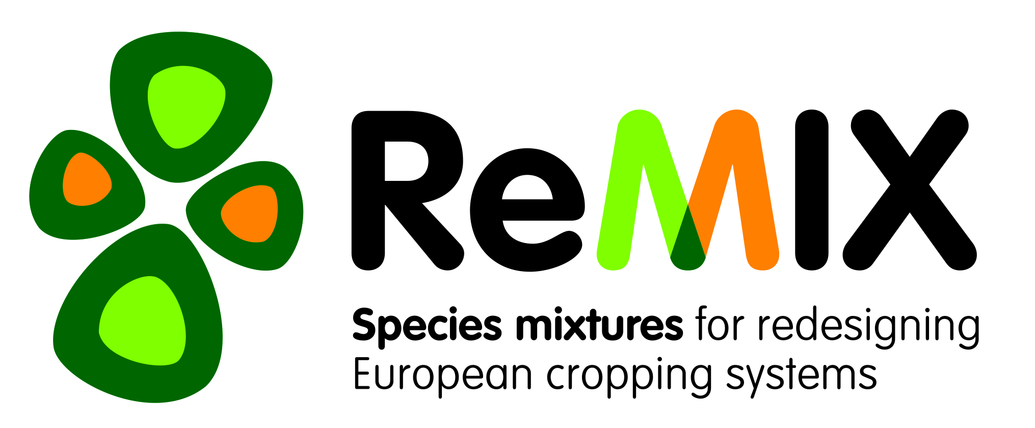 ReMIX logo