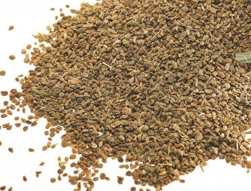 Ajwain Seeds - Carom Seeds - Vahin Global Exports
