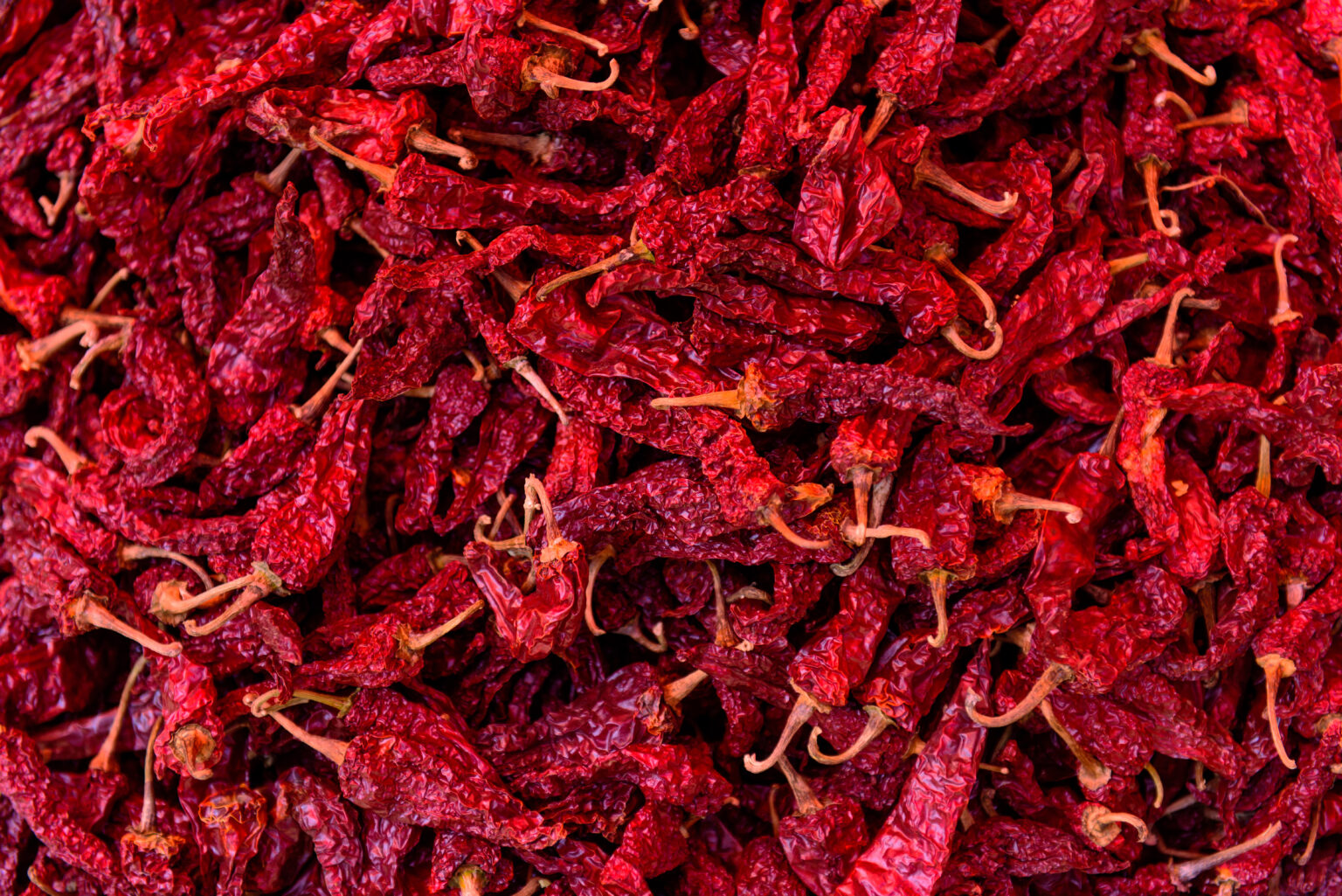 Byadgi Red Chilli