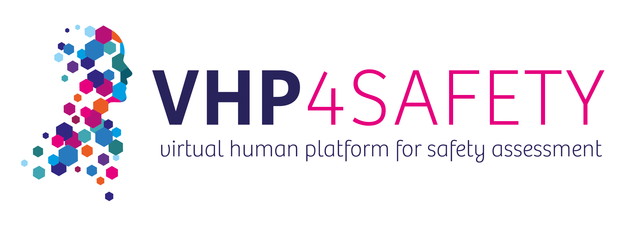 VHP4Safety Glossary logo