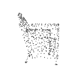 Optimized Point Cloud (15K iteration)