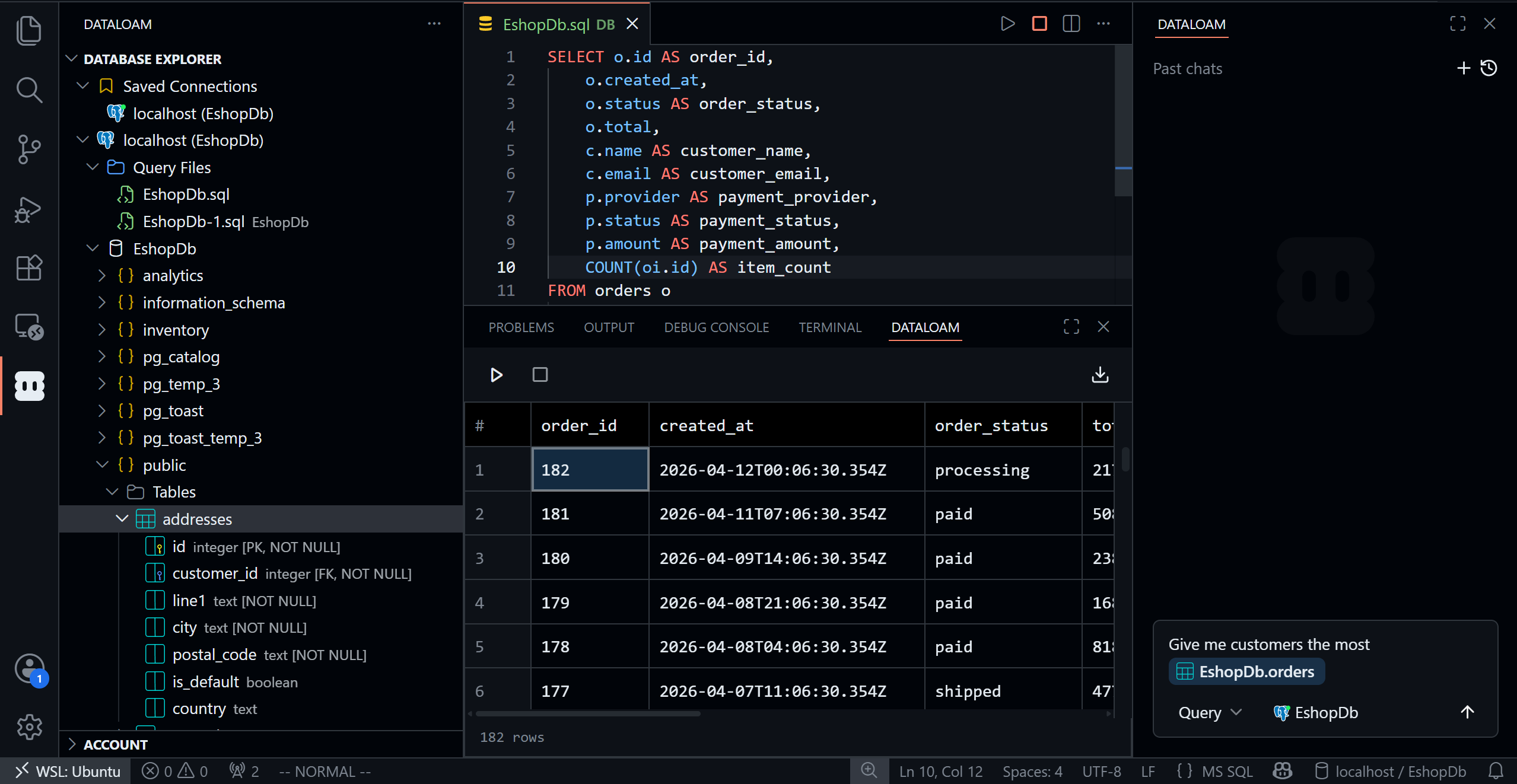 DataLoam running inside VS Code