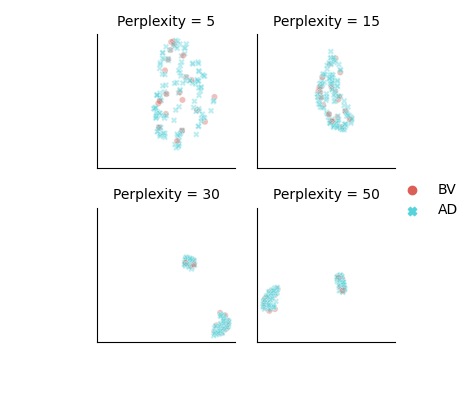 tSNE maps