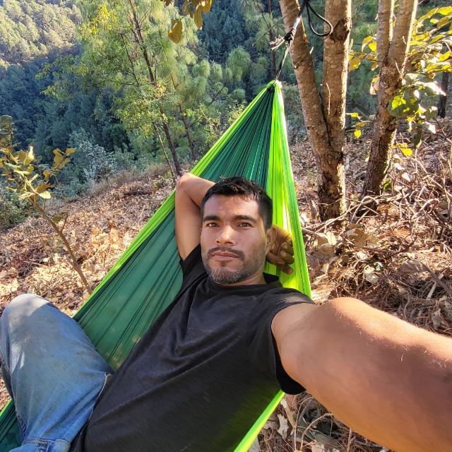 Programador Silvestre