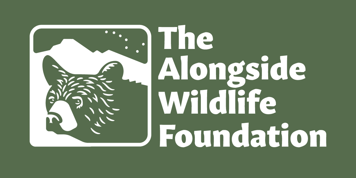 Alongside Wildlife Foundation