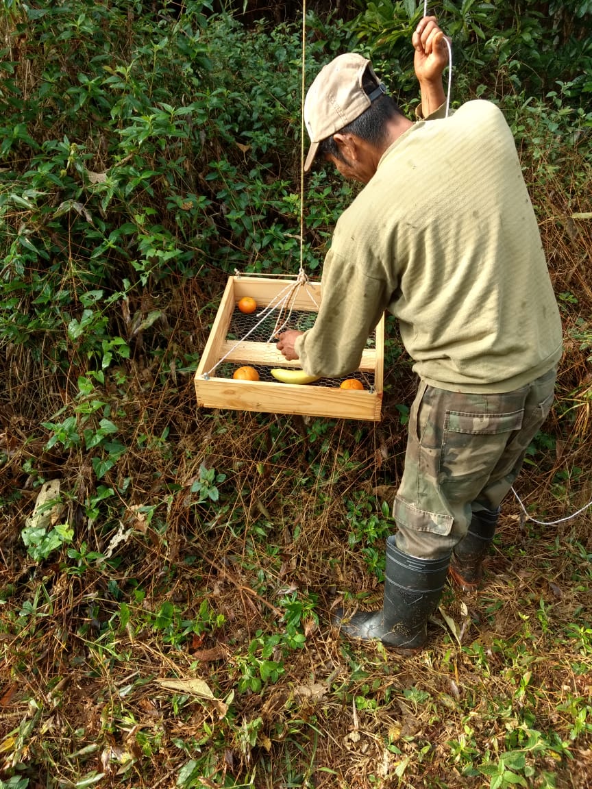 Feeding Platform