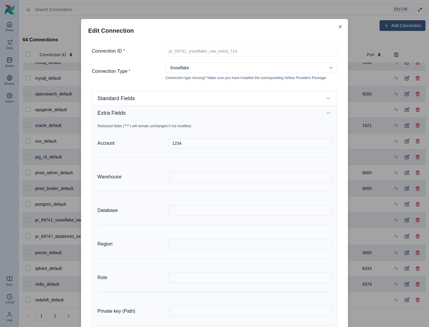 Snowflake provider fields loaded from raw
extra