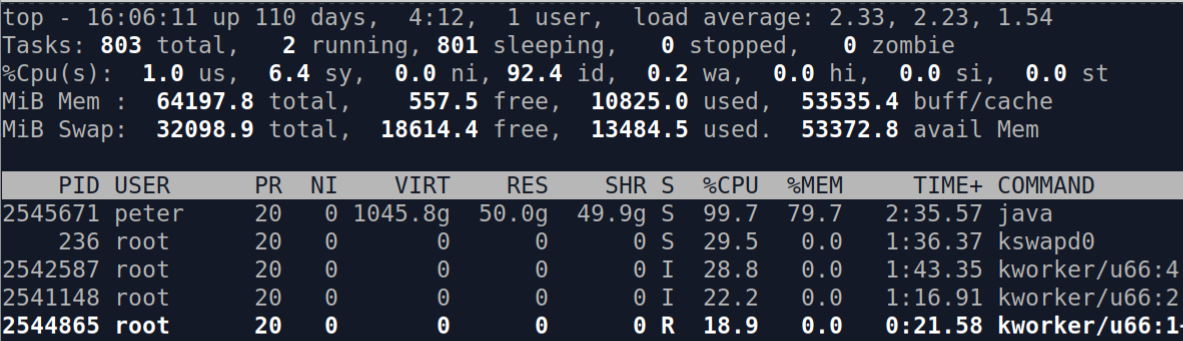 Top output showing a JVM with 1 TB virtual size