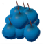 Blueberries