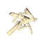 Bone Fragments