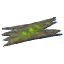 Ancient Bark
