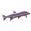 Tetra