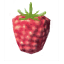 Raspberry