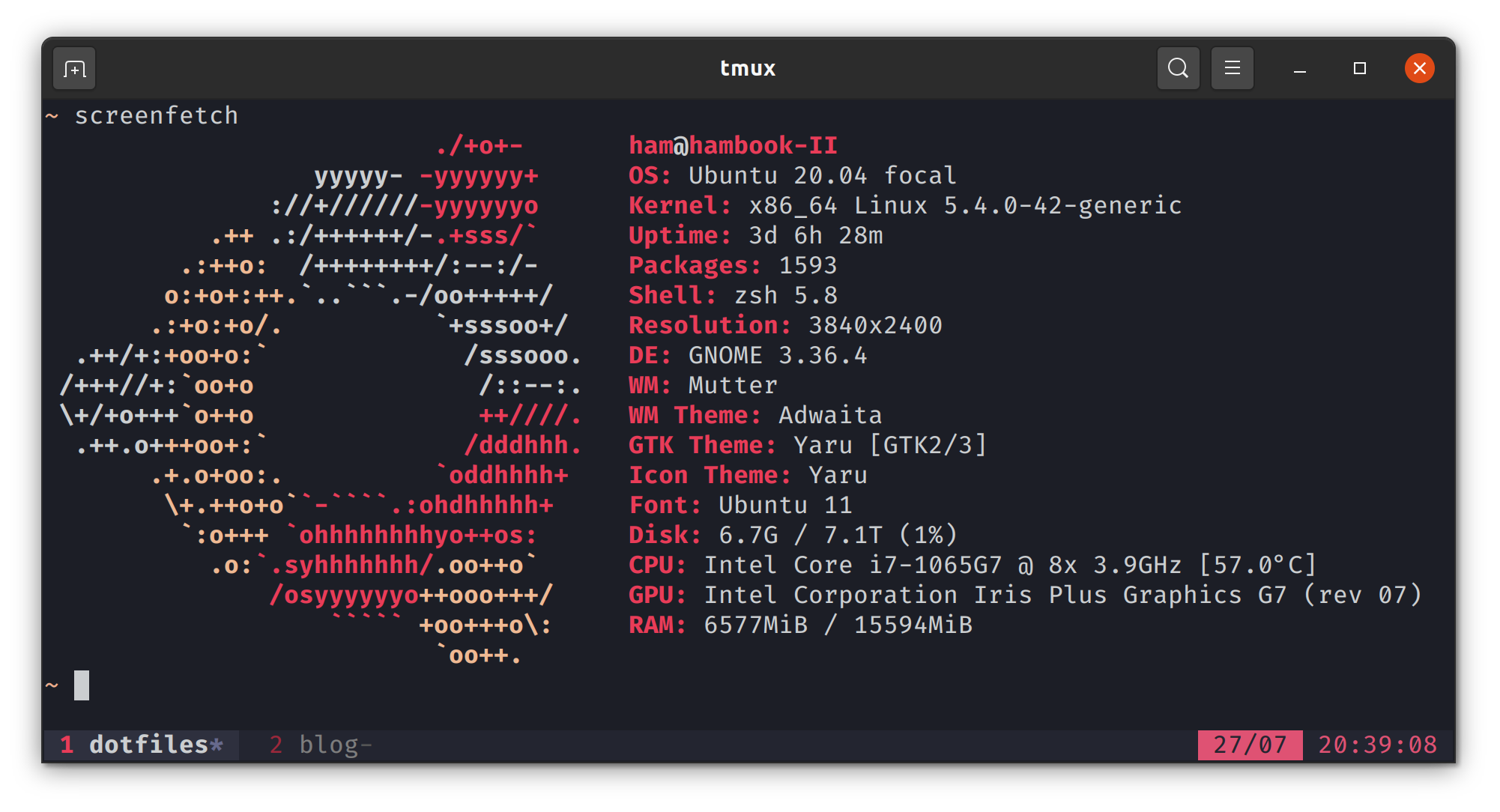 tmux screenshot