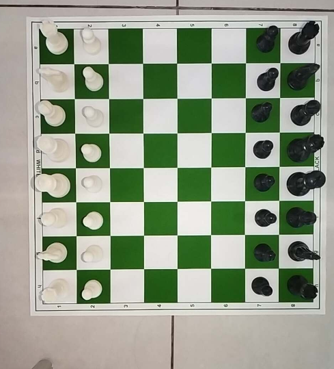 Make chess ♟️ board using python graphic animation