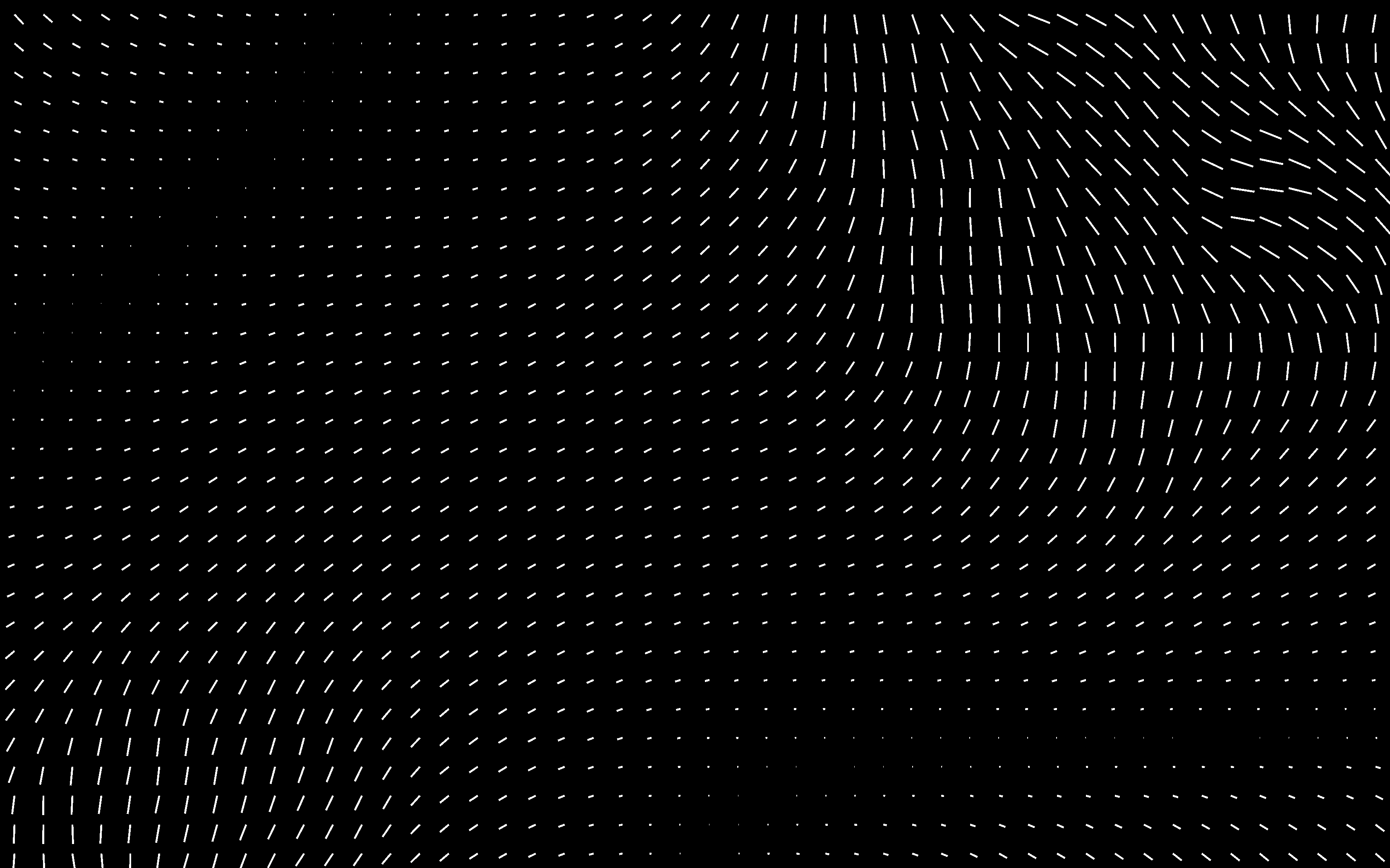 Rust Vector Field Visualization