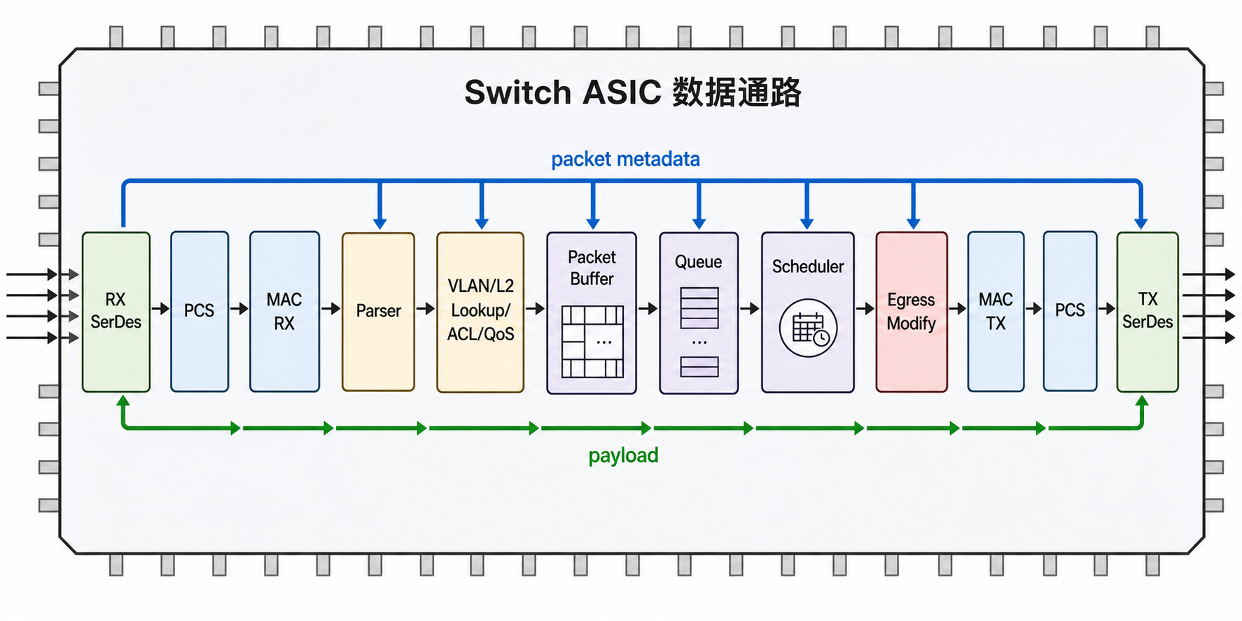 Switch ASIC数据通路