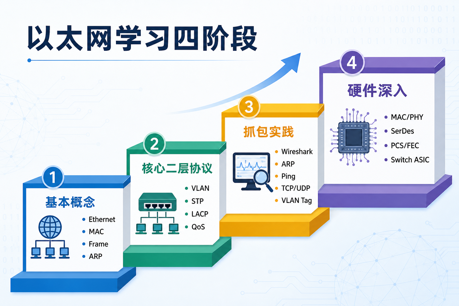 以太网分阶段学习路径