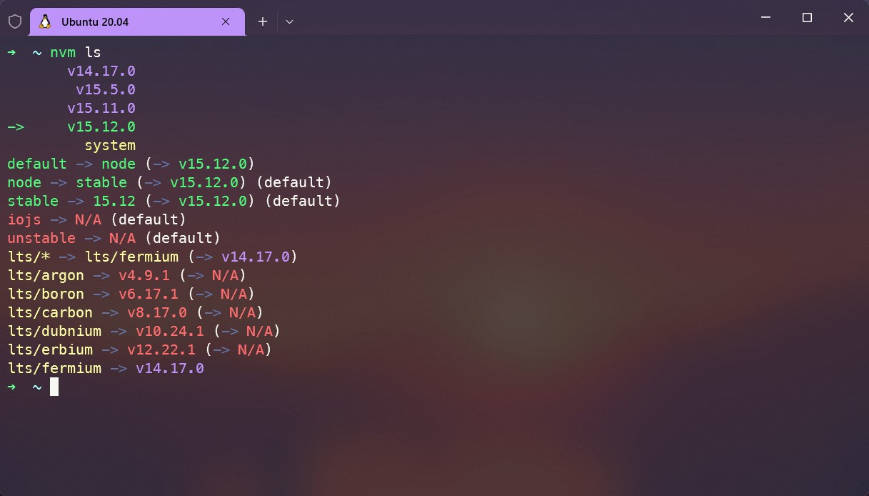 Ubuntu terminal displaying node installed