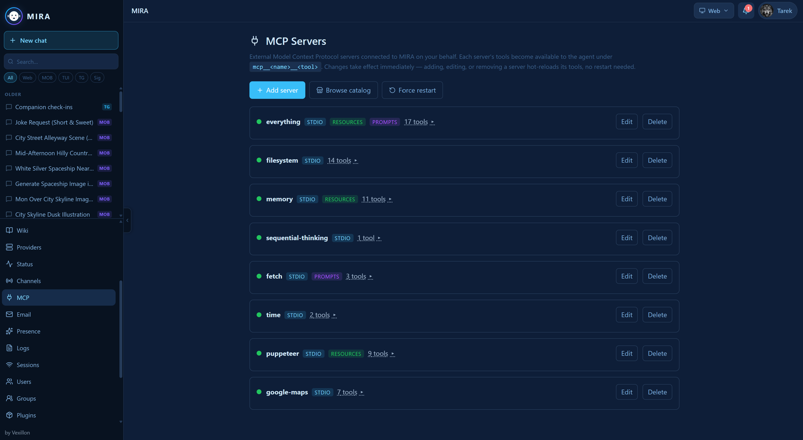 MCP servers