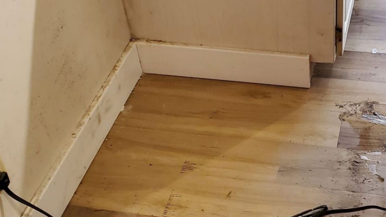 Before cleaning behind refrigerator - deep cleaning service