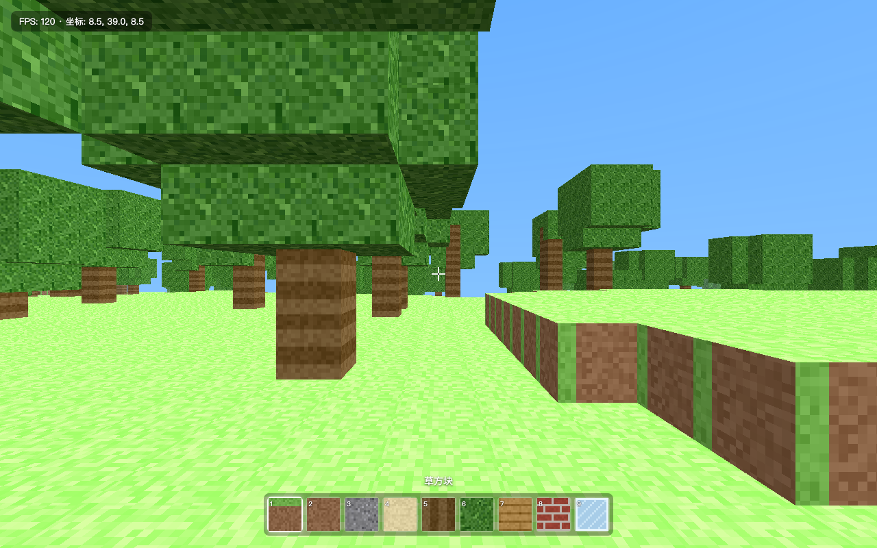 The voxel world the agent verified